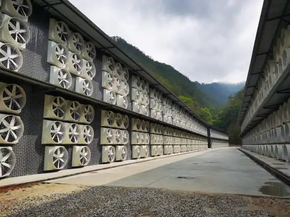 Vast UK Kaspa mining farm harnessing renewable energy for sustainable operations