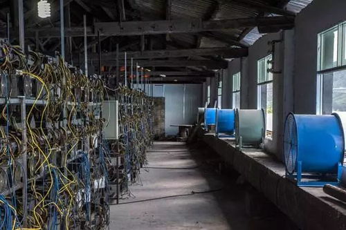 A large mining farm with rows of mining machines