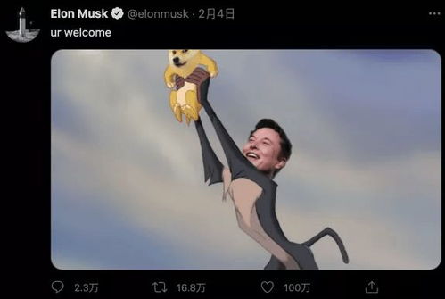 Dogecoin mascot with mining rigs in the background